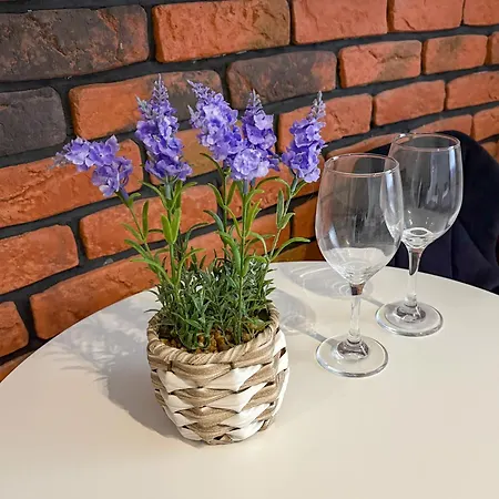 Apartamenty Piotrowice Διαμέρισμα *