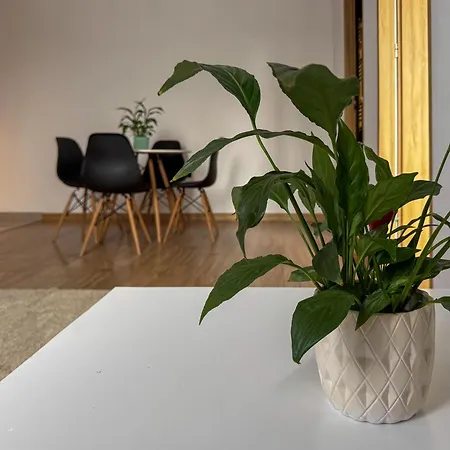 Διαμέρισμα Apartamenty Piotrowice *